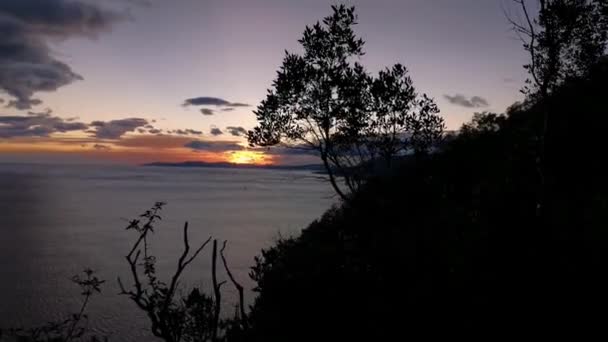 Vista Panorâmica Baía Nascer Sol Com Sombras Vegetação — Vídeo de Stock