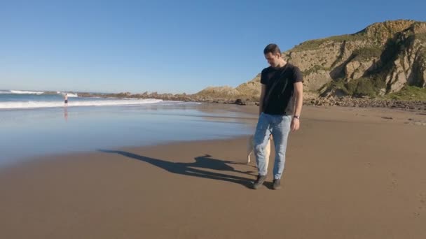 ラブラドールの検索犬は 彼の所有者と一緒にビーチに沿って歩くある晴れた夏の朝 スローモーション — ストック動画