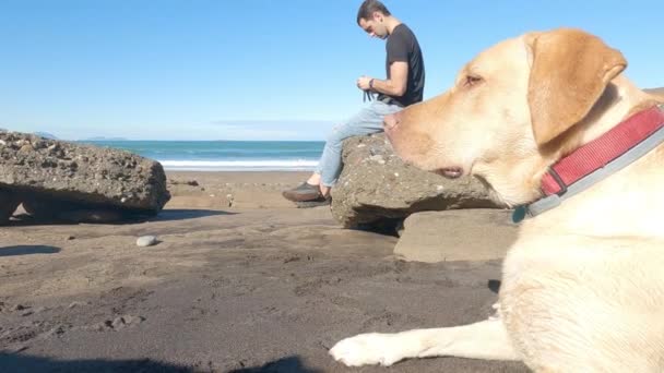 ラブラドール検索犬は彼の所有者とビーチの砂の上に横たわる残ります — ストック動画