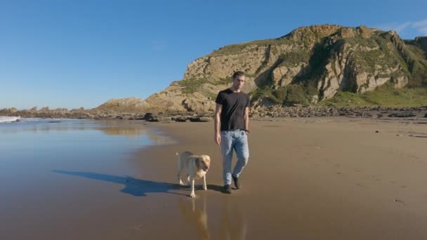 ラブラドールの検索犬は 彼の所有者と一緒にビーチに沿って歩くある晴れた夏の朝 スローモーション — ストック動画