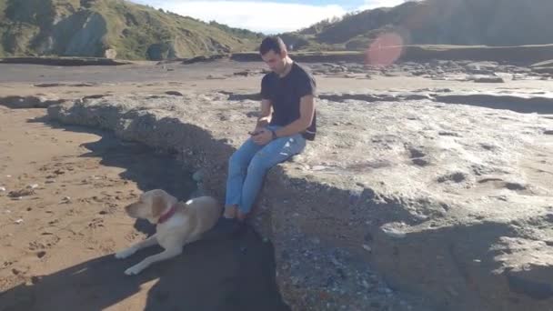 Labrador Retriever Hond Rust Liggend Het Strand Zand Met Zijn — Stockvideo