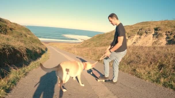Labrador Retriever Spielt Mit Seinem Besitzer Auf Der Strandpromenade — Stockvideo