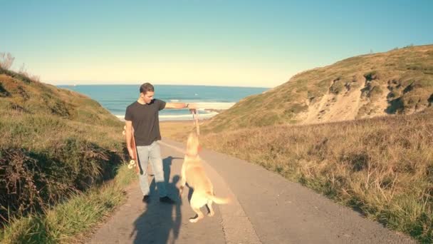ラブラドール レトリバーは海岸遊歩道で彼の所有者と遊ぶ — ストック動画