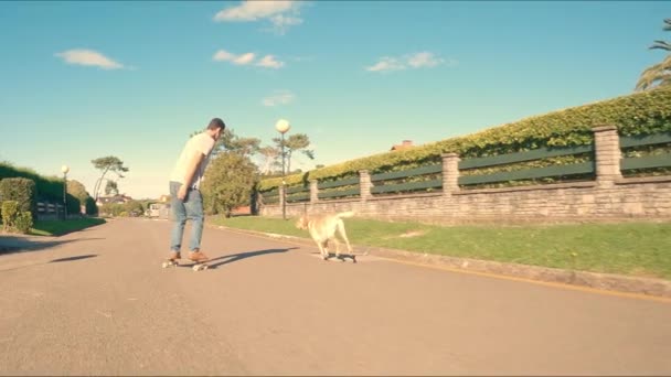 Labrador Retriever Rasy Pies Biegnie Swoim Właścicielem Który Jest Jazda — Wideo stockowe