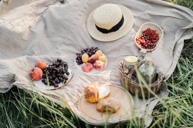 Çimlerin üzerinde piknik. Böğürtlen ve meyveler beyaz tabaklar üzerinde çimlerin üzerinde bir masa örtüsü üzerinde. Hasır bir tabakta kırmızı frenk üzümü ve bektaşi üzümü. Piknikte şeftali, kayısı, kiraz, üzüm. Hasır şapka