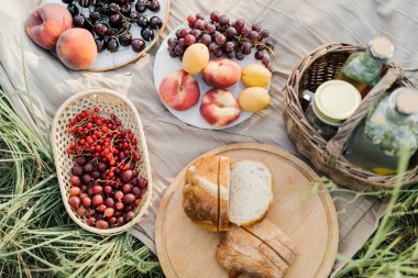 Çimlerin üzerinde piknik. Böğürtlen ve meyveler beyaz tabaklar üzerinde çimlerin üzerinde bir masa örtüsü üzerinde. Hasır bir tabakta kırmızı frenk üzümü ve bektaşi üzümü. Piknikte şeftali, kayısı, kiraz, üzüm