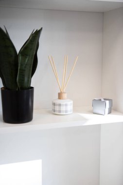 Minimalist ev içi raf, bitki ve küçük organizatör kutusu.