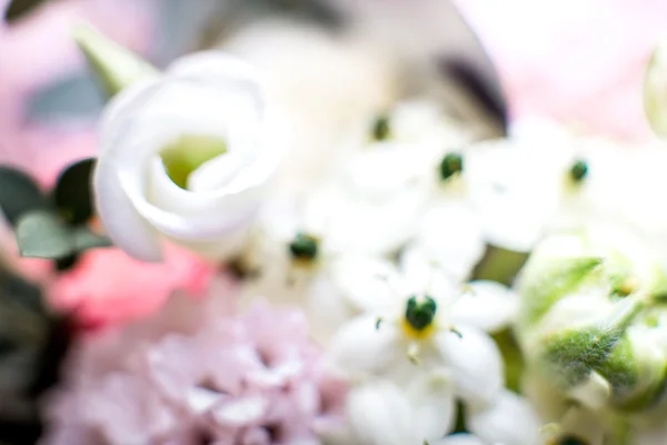 Flowers Macro Shot — Stock Photo, Image