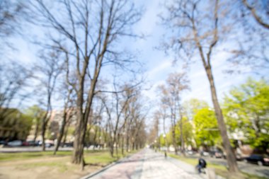 Bulanık park arkaplanı