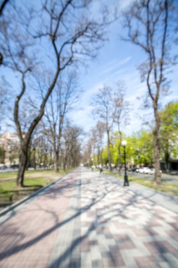 Bulanık park arkaplanı