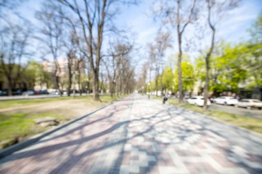 Bulanık park arkaplanı