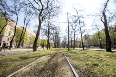 Bulanık park arkaplanı