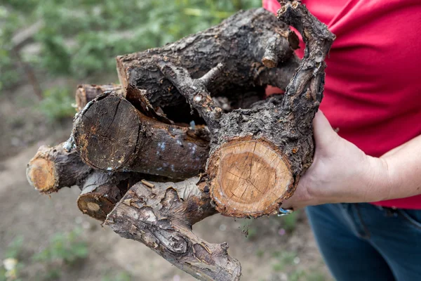 Vrouw bedrijf brandhout — Stockfoto