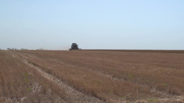 Cosechadora que trabaja en el campo — Vídeos de Stock