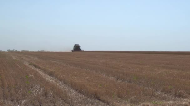 Cosechadora que trabaja en el campo — Vídeos de Stock