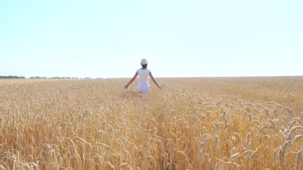 Junge Frau in weißem Kleid geht in einem Weizenfeld — Stockvideo