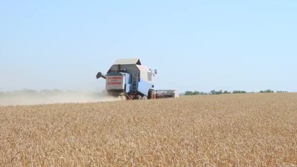 Cosechadora que trabaja en el campo — Vídeos de Stock