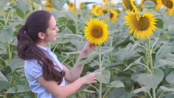 Kvinnan ler i ett fält av solrosor — Stockvideo