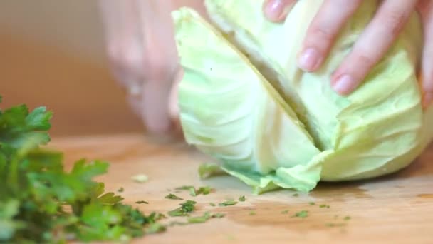 Verduras picadas de cerca — Vídeos de Stock