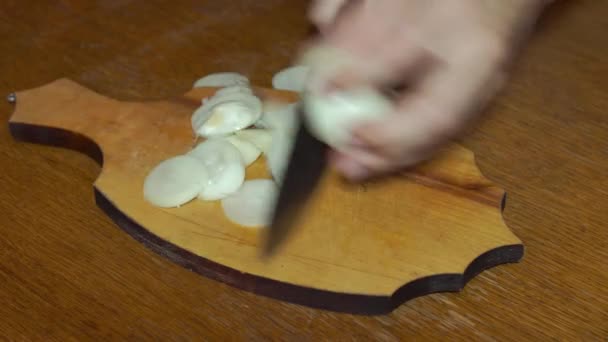 Verduras picadas de cerca — Vídeos de Stock