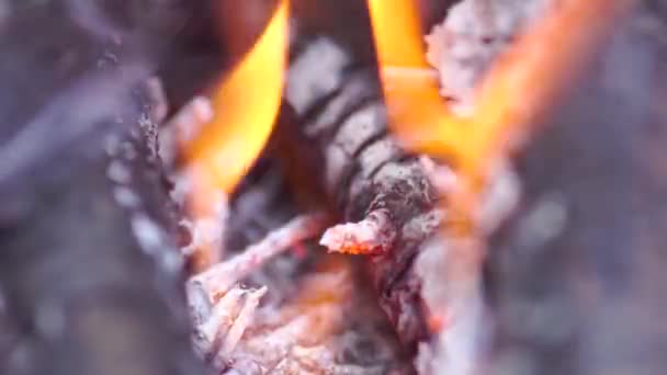 Bois brûlant brillant ,