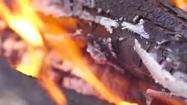 Bois brûlant brillant ,