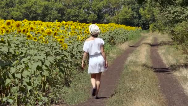 Женщина перебегает дорогу рядом с полем подсолнухов — стоковое видео