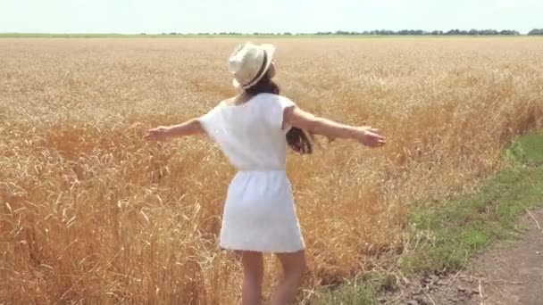 Jonge vrouw in witte jurk wandelen in een gebied van tarwe — Stockvideo