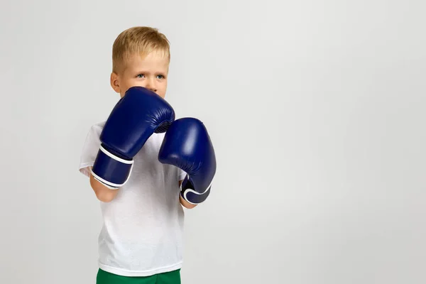 Boxing lutador menino em luvas de boxer — Fotografia de Stock