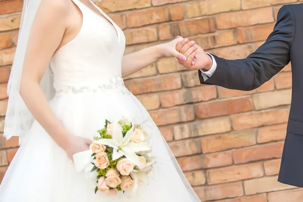 Boda pareja cogida de la mano — Foto de Stock