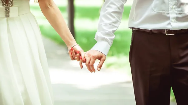 Wedding couple holding hands — Stock Photo, Image