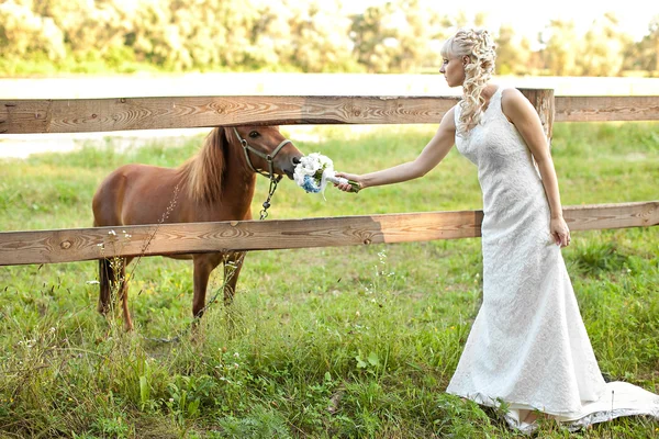 Bride on nature — Stock Photo, Image