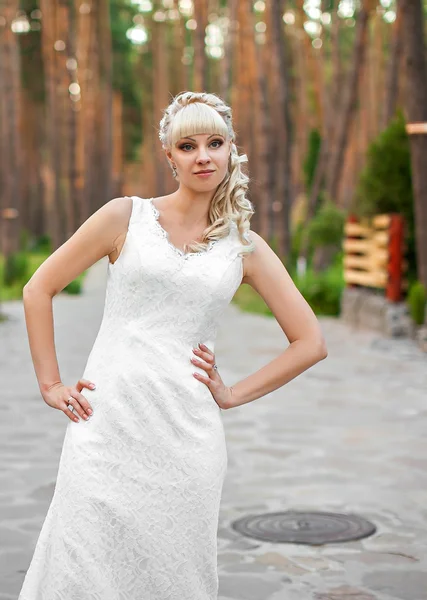 Bride on nature — Stock Photo, Image