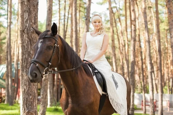 Novia y caballo — Foto de Stock