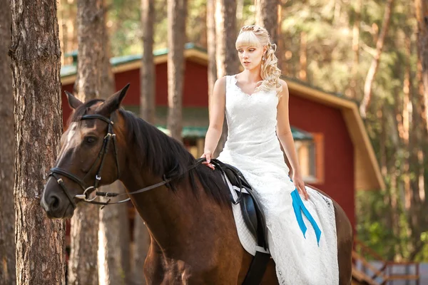 Bruid en paard — Stockfoto