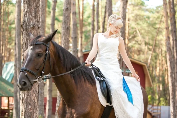 Braut und Pferd — Stockfoto