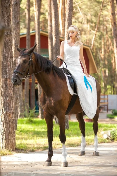 Panna młoda i koń — Zdjęcie stockowe