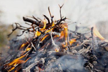 kamp ateşi niteliğine