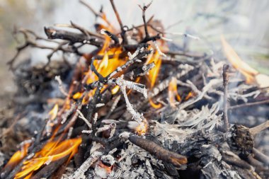 kamp ateşi niteliğine
