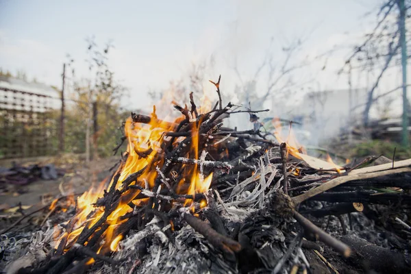 Feu de camp sur la nature — Photo