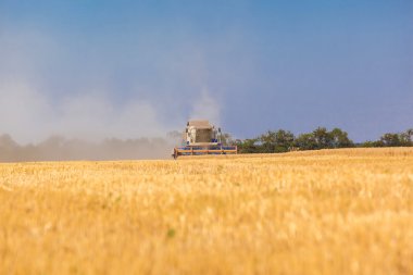 Çalışma hasat birleştirmek 