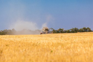 Çalışma hasat birleştirmek 