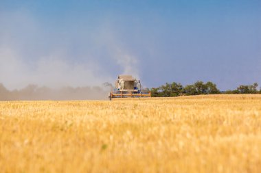 Çalışma hasat birleştirmek 