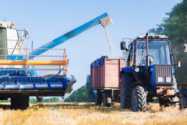 Çalışma hasat birleştirmek 