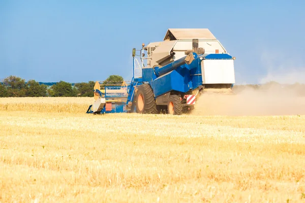 Combine harvester working — Stock Photo, Image