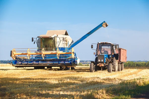 Lavorazione della mietitrebbia — Foto Stock