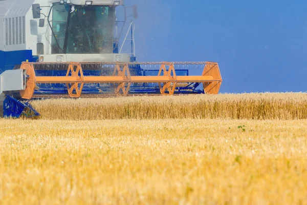 Combine harvester working — Stock Photo, Image