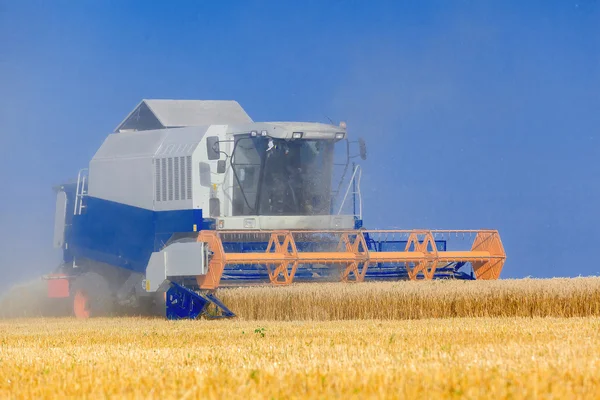 Combine harvester working — Stock Photo, Image