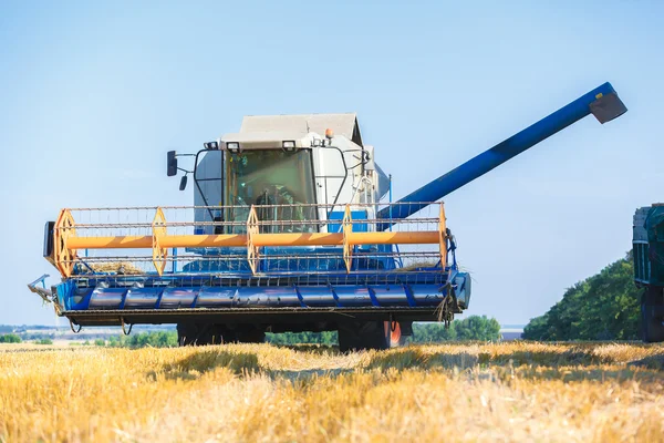 Lavorazione della mietitrebbia — Foto Stock