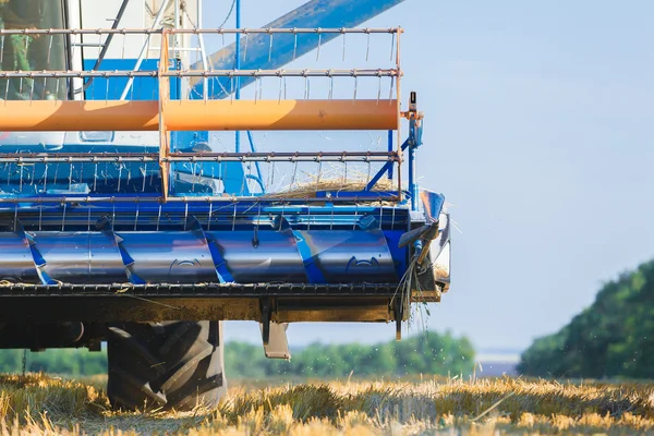 Combineren maaimachine werkt — Stockfoto